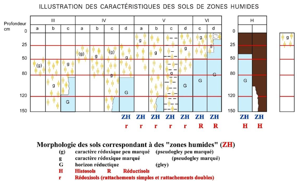 étude de sol zone humide bassin arcachon gujan-mestras teich mios biganos