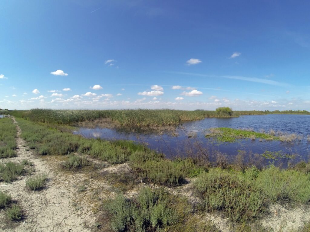 zone humide bassin arcachon gujan-mestras teich mios biganos zone humide bassin arcachon gujan-mestras teich mios biganos
