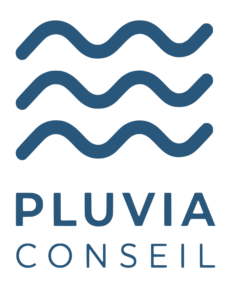logo pluvia conseil