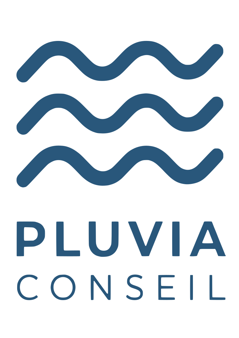 Bureau d'études environnement assainissement pluvial eau Pluvia Conseil logo pluvia conseil